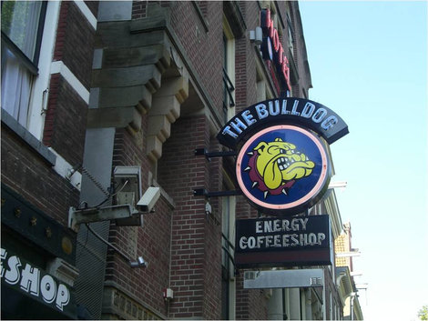 Кофешоп Амстердам, Нидерланды