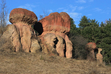 Красные грибы.  К востоку от Долины Роз. Кисловодск, Россия