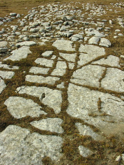 На  вершине Большого Бермамыта под тонким слоем земли камень. Учкекен, Россия