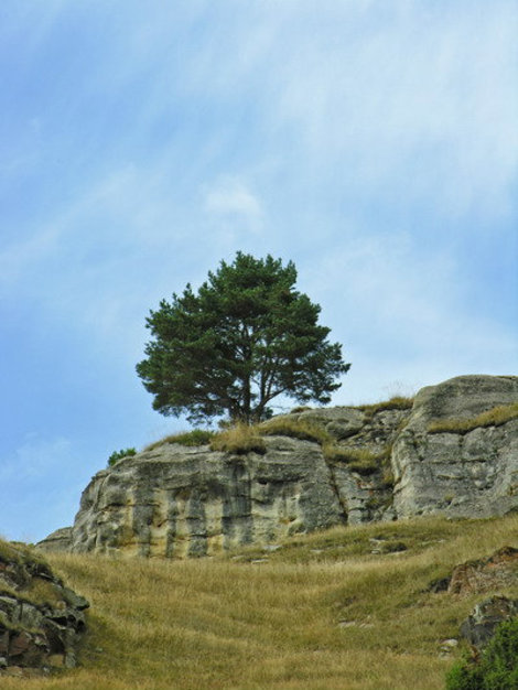 Скалы на восточном склоне Малого Бермамыта. Учкекен, Россия