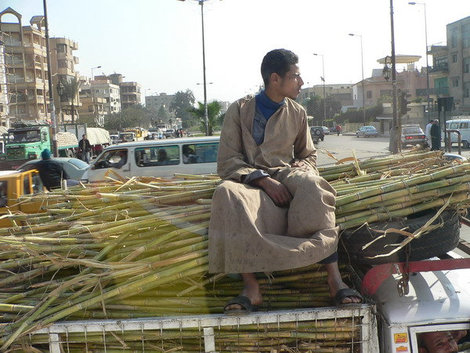 Бедный слуга, везущий тростник. Хургада, Египет