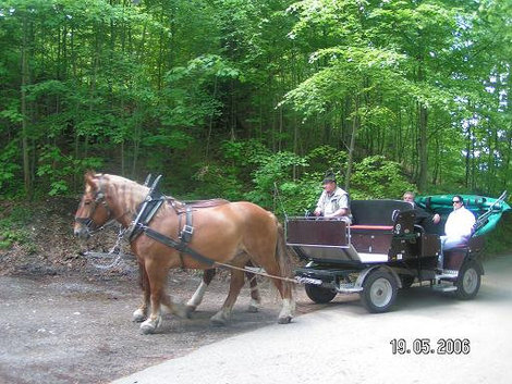 Традиционное средство передвижения Швангау, Германия