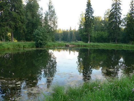 Шуваловский парк, нижний пруд или рубаха Наполеона. Санкт-Петербург, Россия