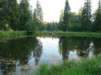 Шуваловский парк, нижний пруд или рубаха Наполеона.