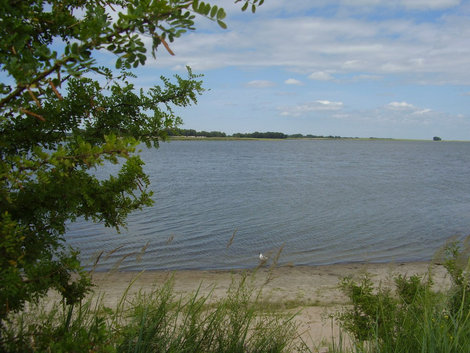 Озеро Домашнее