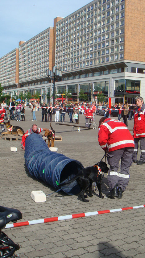 Красный крест в работе Берлин, Германия