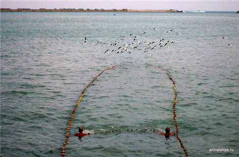 Александрия. Морская рыбалка Александрия, Египет