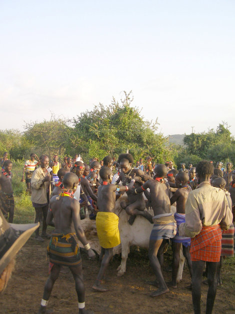 Соплеменники помогают жениху Эфиопия