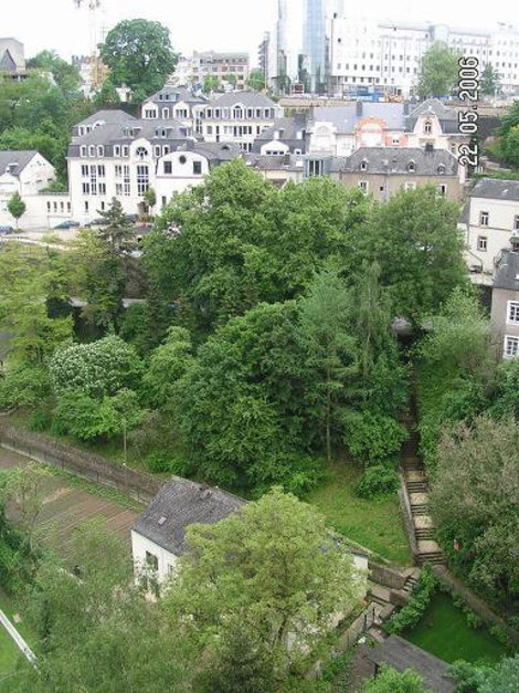 Дома и деревья Люксембург, Люксембург
