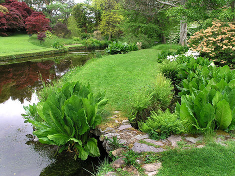 Сады Ирландии Ирландия