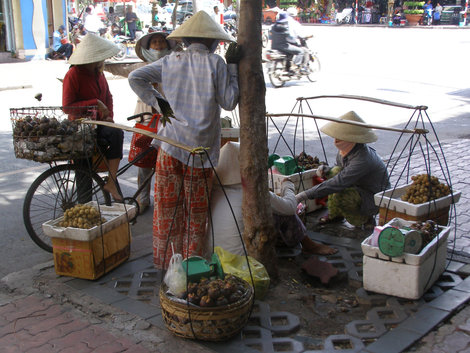 Жизнь страны Вьетнам Вьетнам