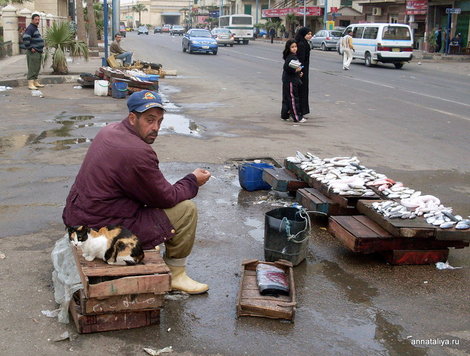 Торговец рыбой на улице Александрии Египет