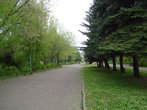 Рыбинск удивительно зеленый город. Волжский парк