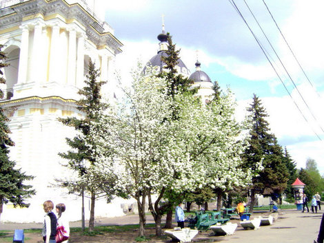Рыбинск. Май вскипел яблоневым цветом Рыбинск, Россия