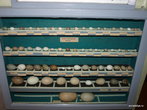 Яранск. Краеведческий музей. Яйца местных птиц