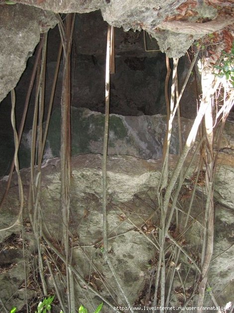 Флорес. Пещера Индонезия