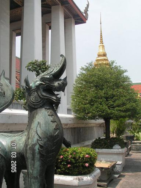 Птицеголовый Бангкок, Таиланд