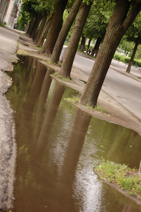 Накануне был дождь Брест, Беларусь