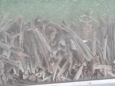 Неопознанные кости Пномпень, Камбоджа