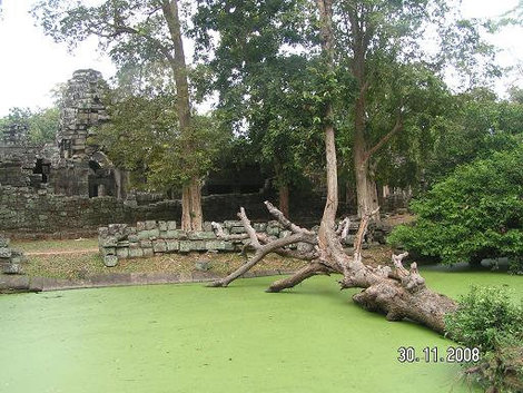 Живописное местечко Ангкор (столица государства кхмеров), Камбоджа
