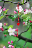 Весной деревья в Болгарии украшают переплетенные ниточки — мартяницы