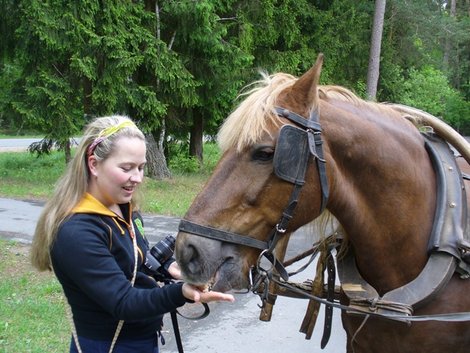 11. Анна кормит лошадь Беловежская Пуща Национальный Парк, Беларусь