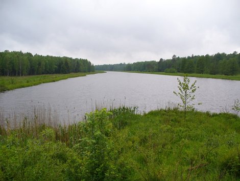 29. Лядское озеро Беловежская Пуща Национальный Парк, Беларусь