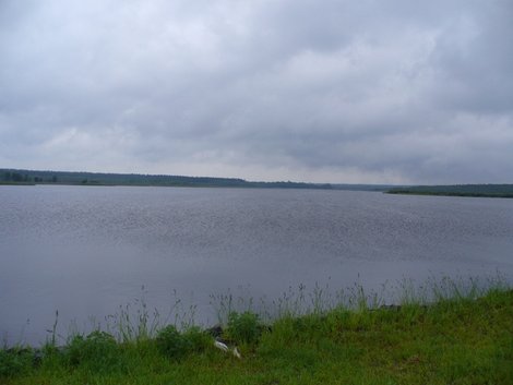 30. Лядское озеро Беловежская Пуща Национальный Парк, Беларусь