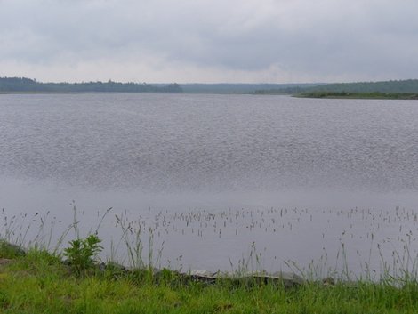 31. Лядское озеро Беловежская Пуща Национальный Парк, Беларусь