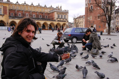 Краковские голуби — самые ленивые в мире. Краков, Польша