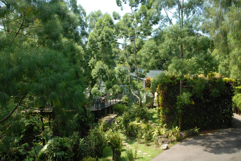 Национальный Сад Орхидей Сингапур (город-государство)
