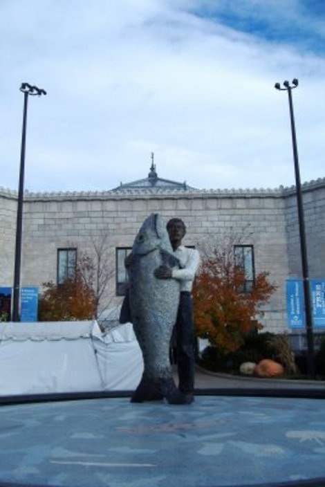 Shedd Aquarium Чикаго, CША