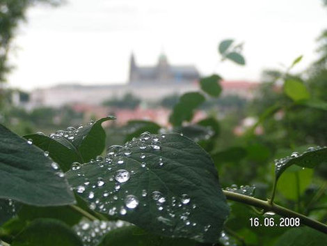 Трогательное сочетание Прага, Чехия