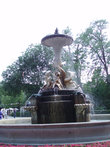 Галапагосский фонтан — один из красивейших фонтанов парка Ретиро в Мадриде.
