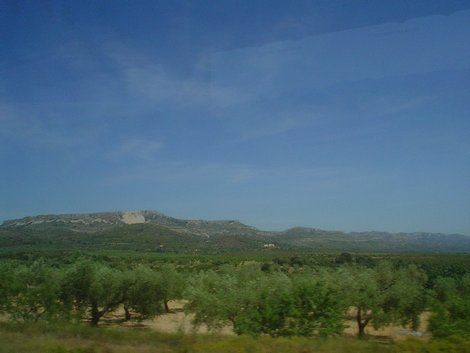 Оливковые рощи Пеньискола, Испания