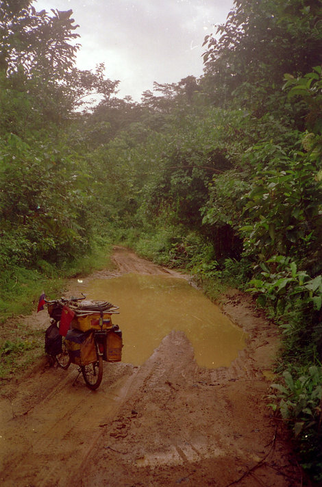 Дорога в джунглях Экваториальная Гвинея