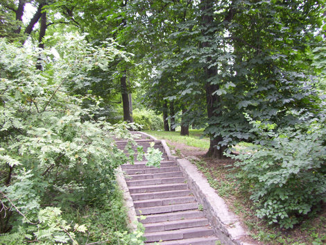 Ботанический сад им. А.В.Фомина Киев, Украина