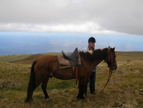 Конный поход на самую высокую точку острова Пасхи Остров Пасхи, Чили