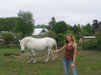 белая лошадь Маша