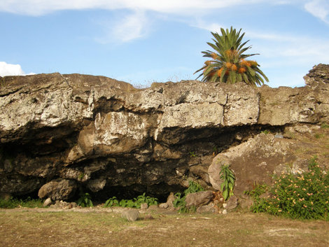 Природа острова Пасхи Остров Пасхи, Чили