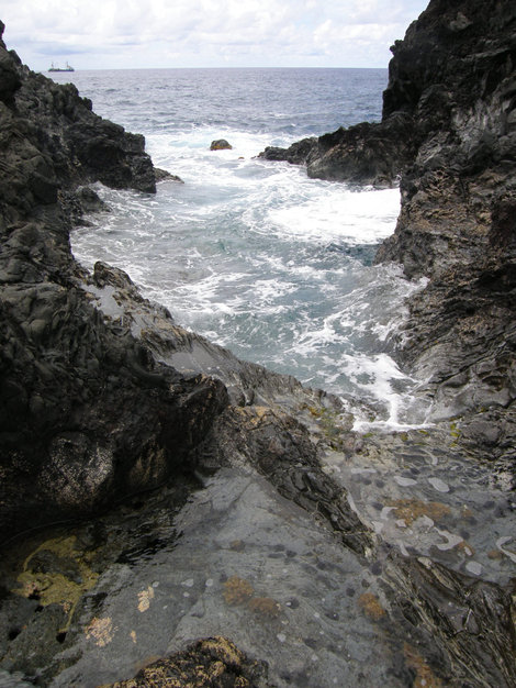 Природа острова Пасхи Остров Пасхи, Чили