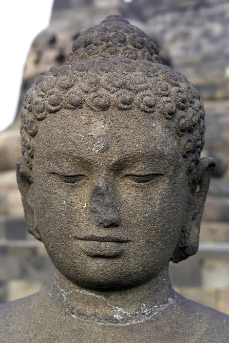 Голова Будды Боробудур, Индонезия