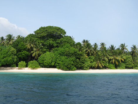 Royal Island Баа Атолл, Мальдивские острова