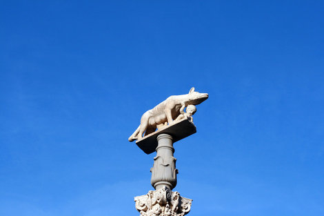 капитолийская волчица Сиена, Италия