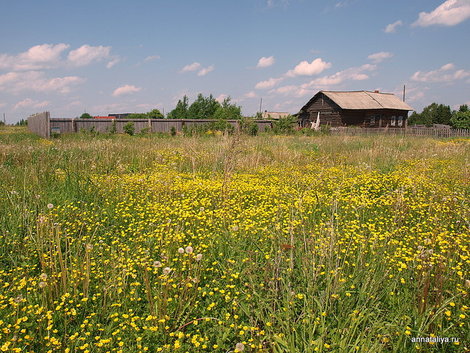 Котельнич. Деревня Боровики Котельнич, Россия