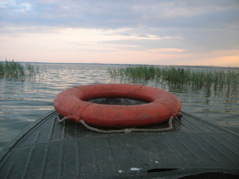 Камыши, камыши, камыши... Одна из местных проблем — озеро зарастает Ростов, Россия