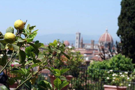 вид на Флоренцию со смотровой Микеланджело Флоренция, Италия