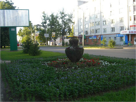 Цветы и композиции Зеленодольск, Россия