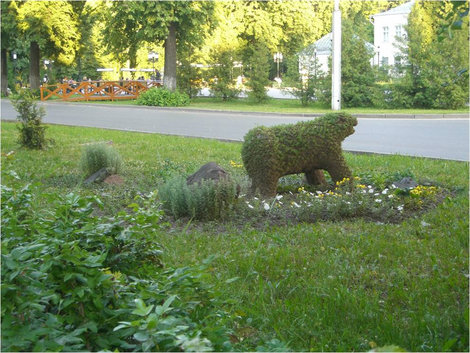 Собачка или медвежонок? Зеленодольск, Россия