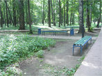 Скамеечки в парке